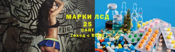 хмурый Няндома