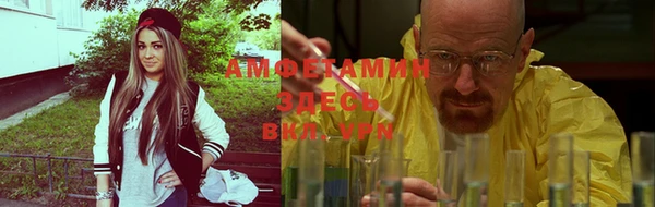 хмурый Няндома