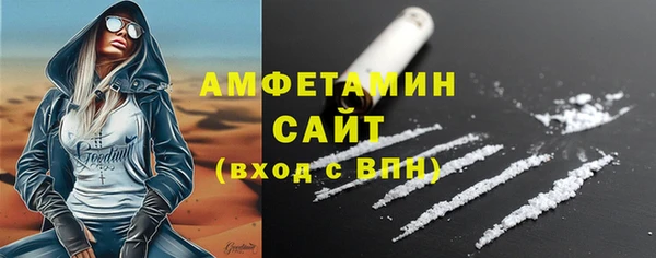 хмурый Няндома