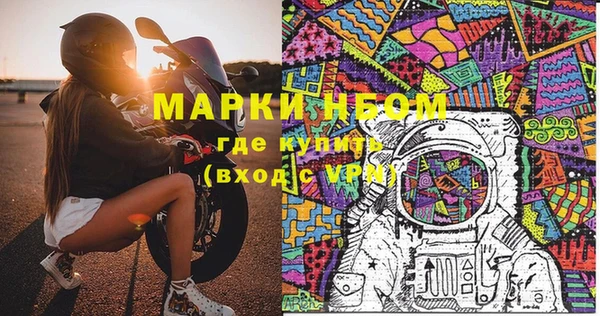 хмурый Няндома