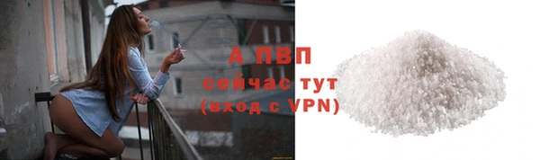 хмурый Няндома