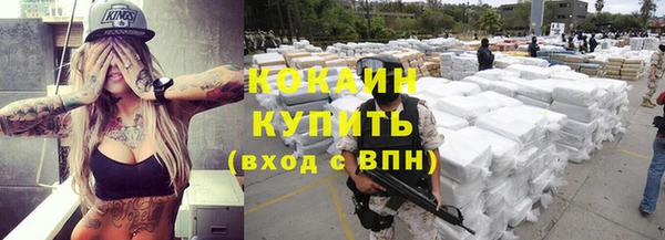 крисы Осинники