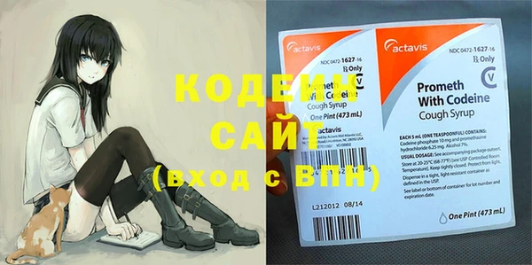 хмурый Няндома