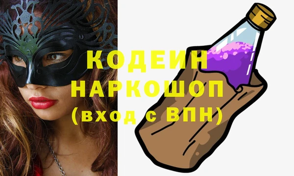 хмурый Няндома