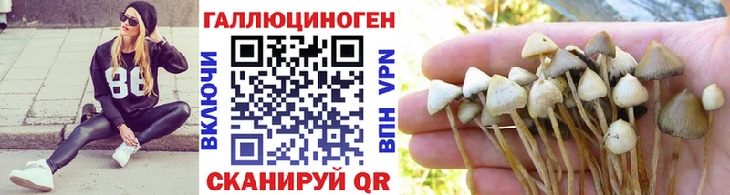 купить наркотики цена  Красноуфимск  Псилоцибиновые грибы Psilocybine cubensis 