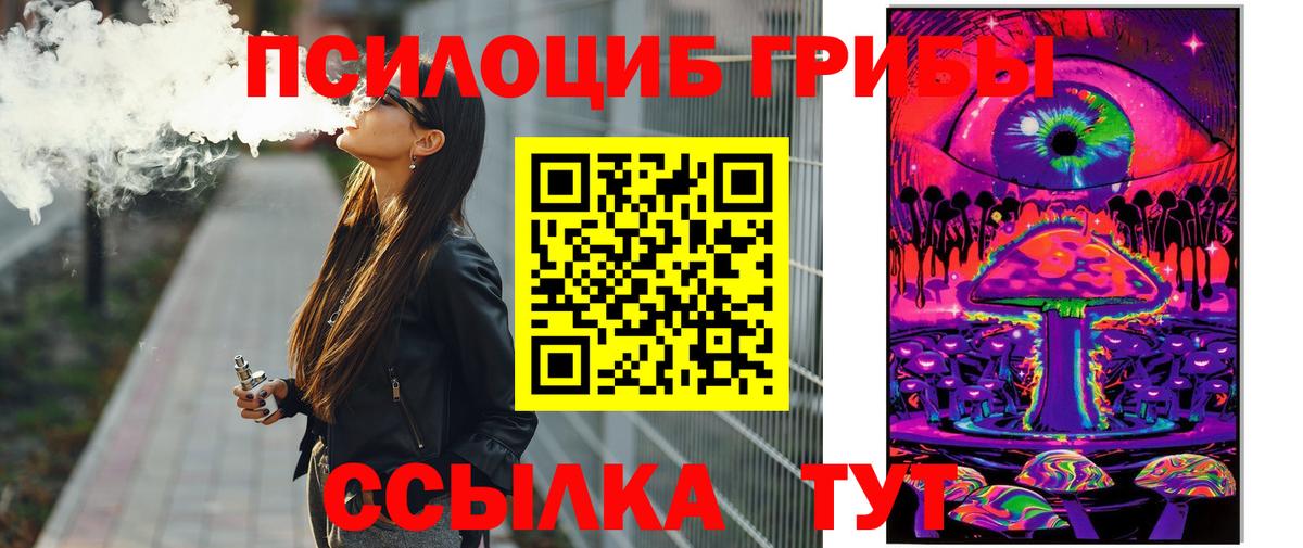 где купить   Вход с VPN  Красноуфимск  Галлюциногенные грибы Psilocybe 